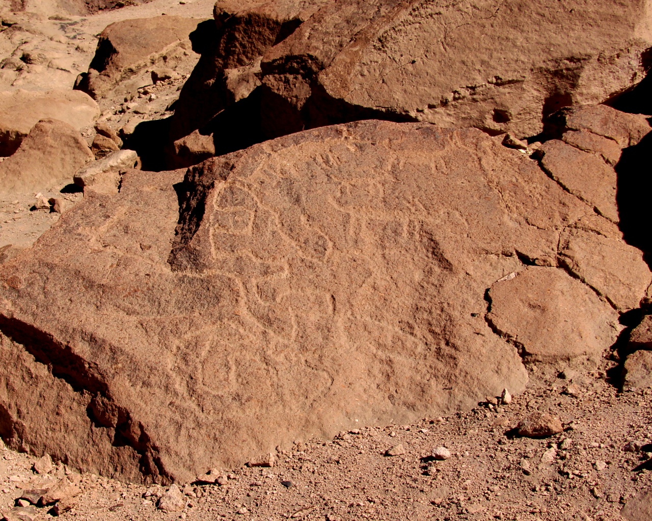 Valle de Codpa – ARICA Y PARINACOTA EN IMÁGENES