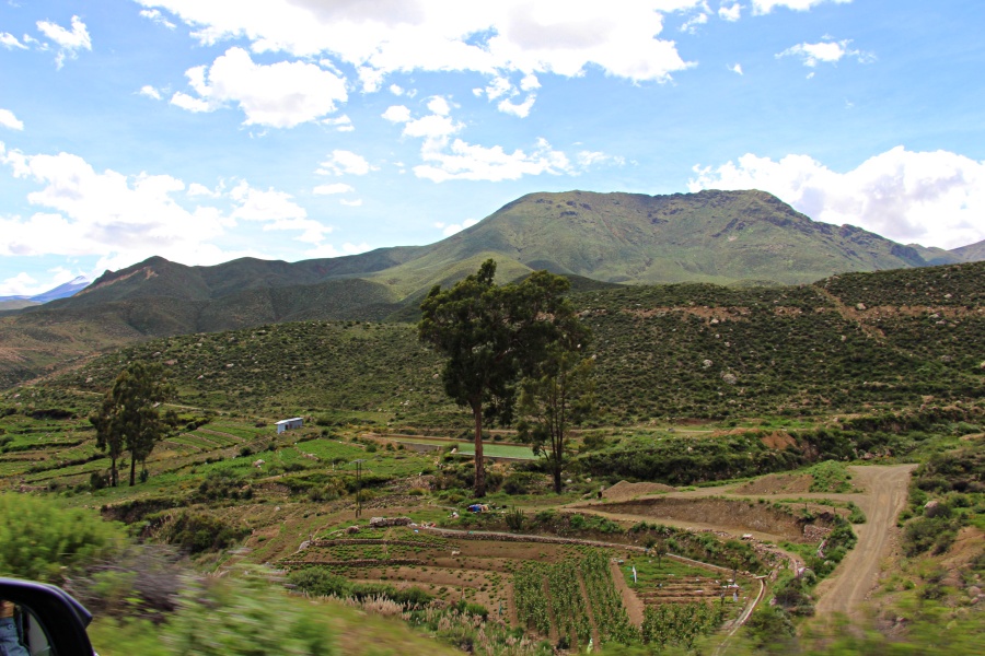 Terrazas Socoroma