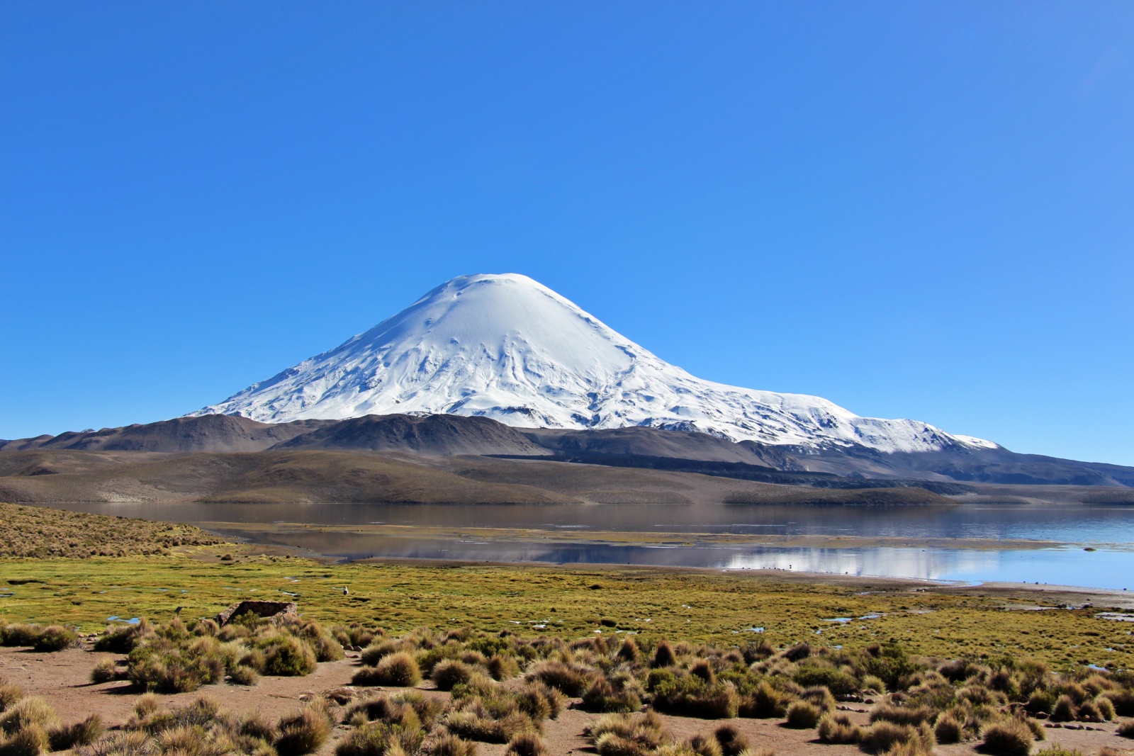 Volcan Parinacota