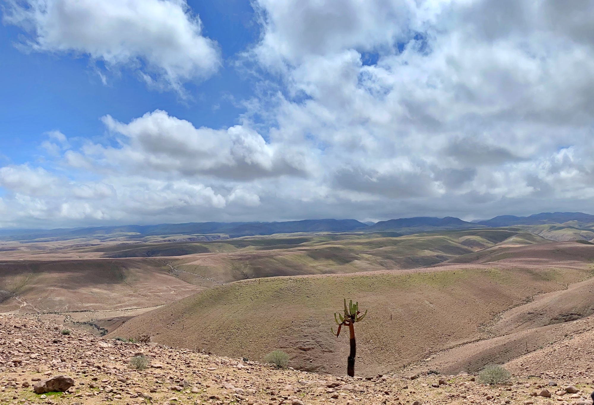 Descarga de imágenes